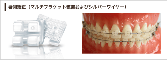 公式案内画像