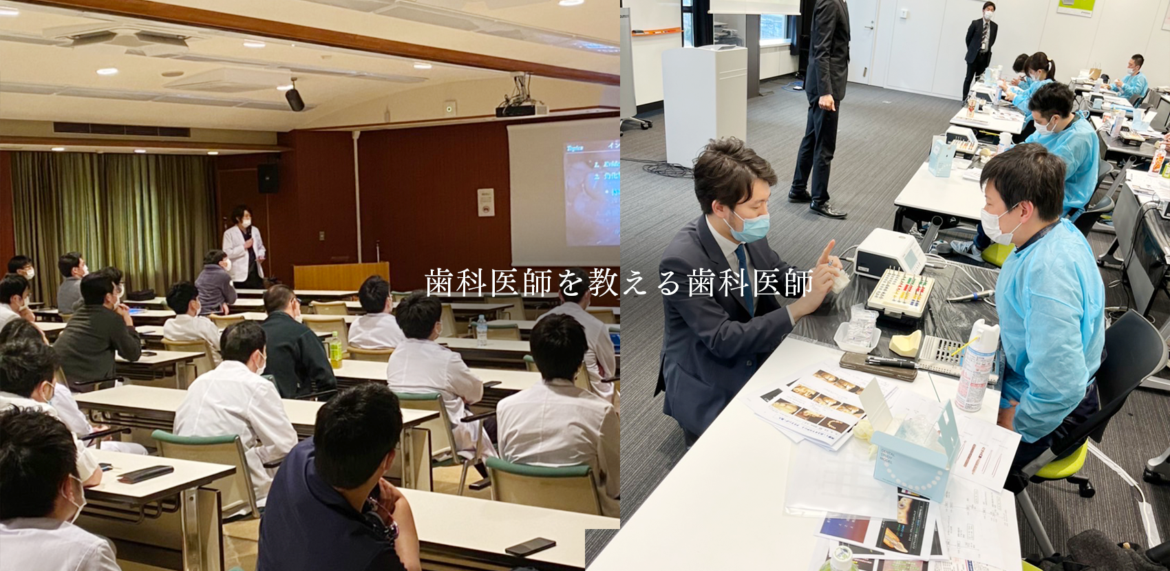 公式案内画像