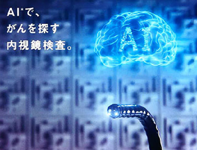 公式案内画像