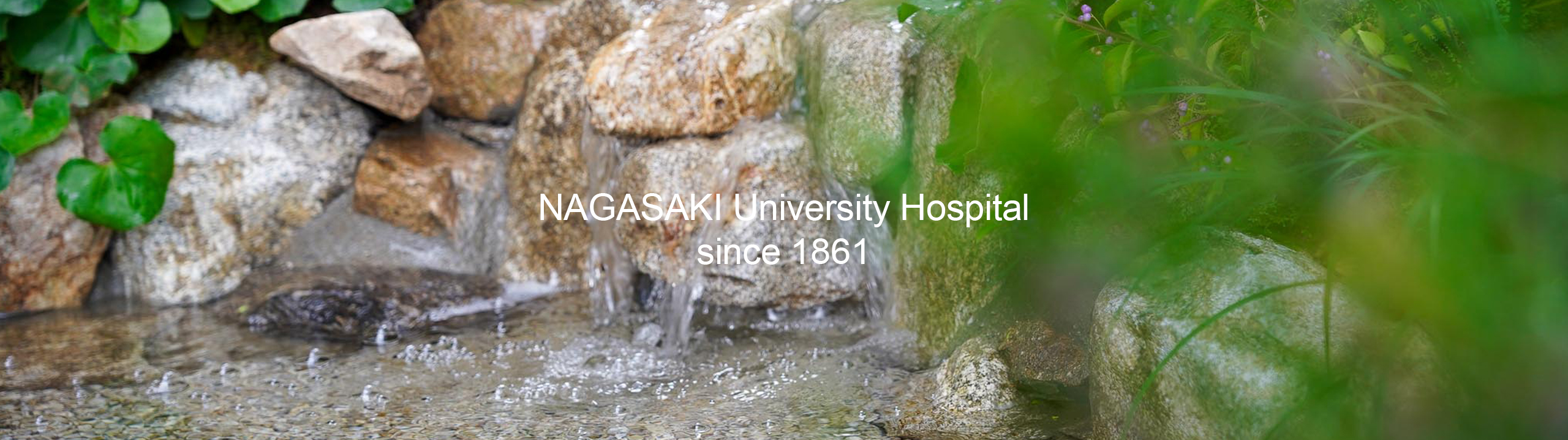 長崎大学病院 の写真