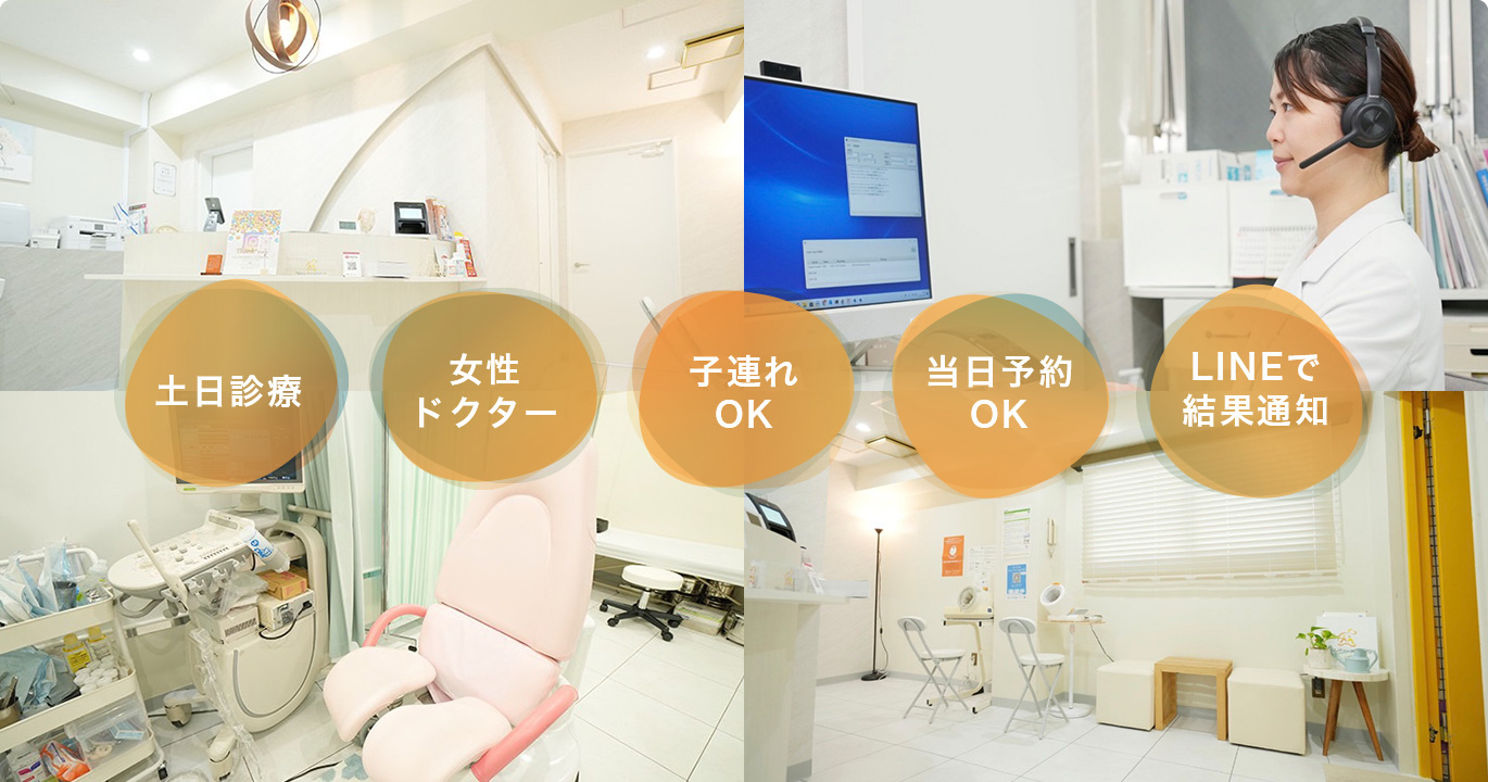 公式案内画像