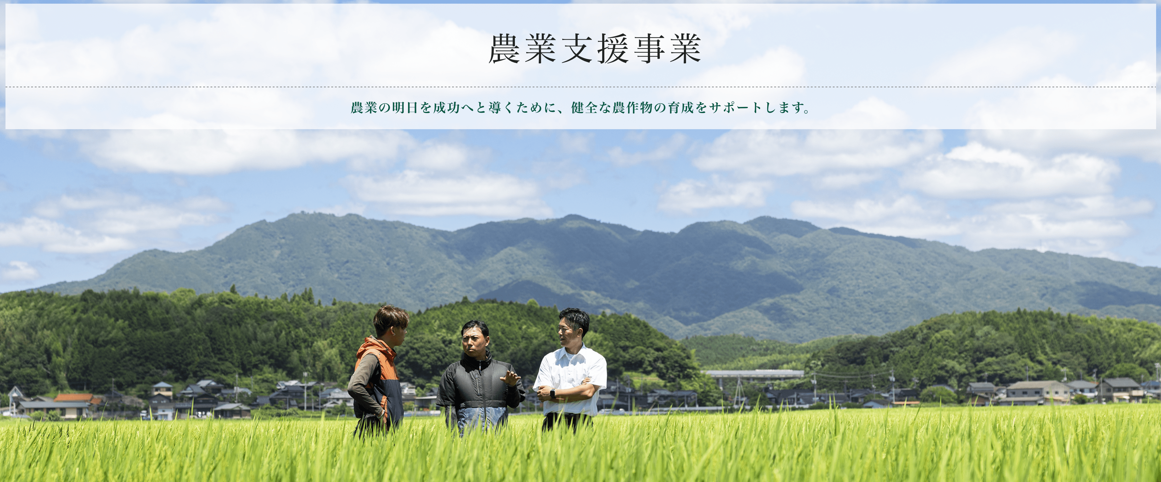 公式案内画像