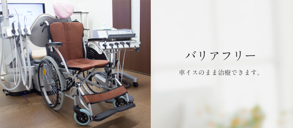 公式案内画像