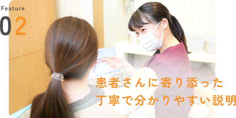 公式案内画像