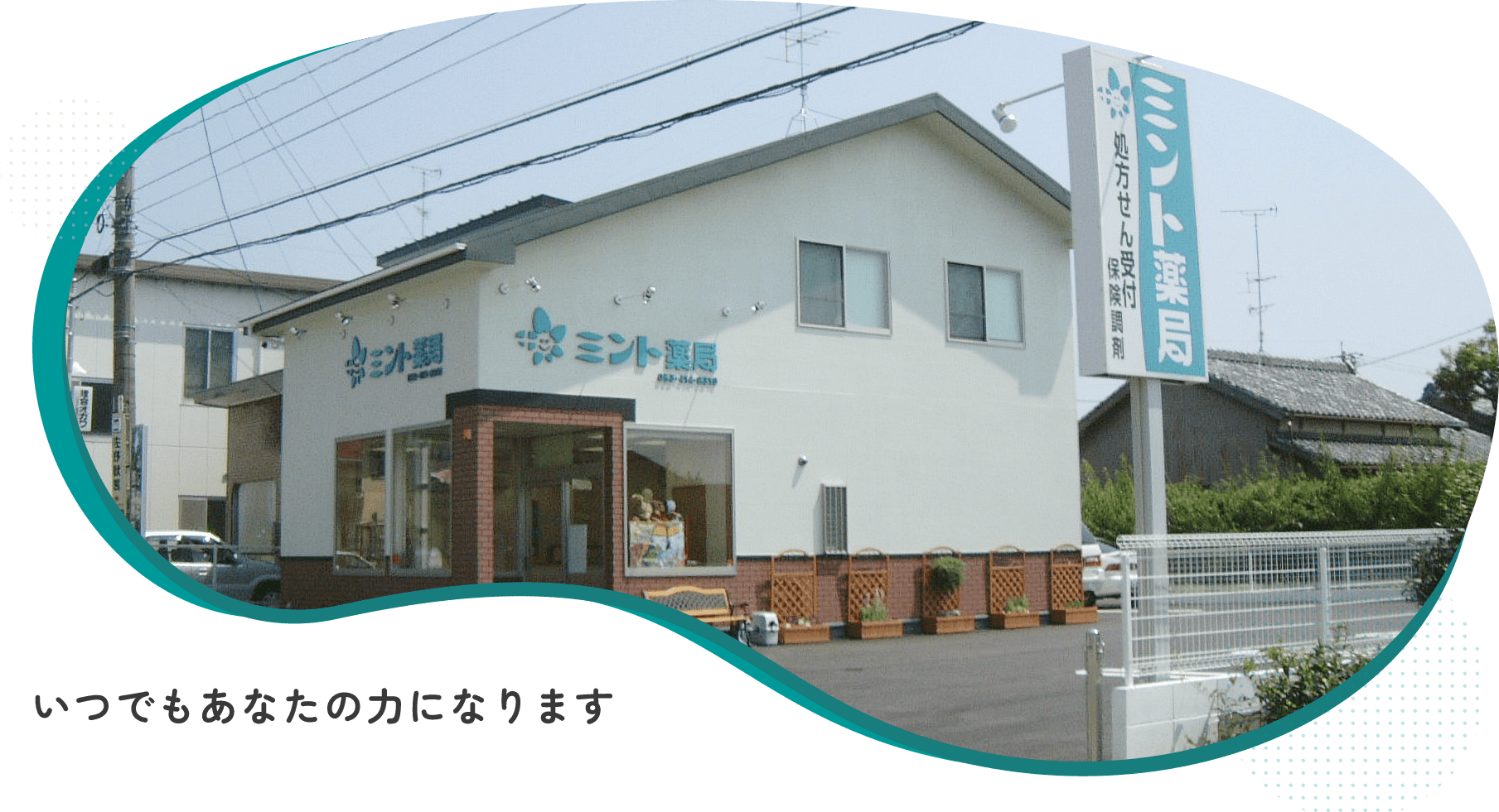 公式案内画像