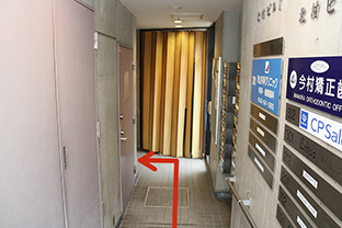 公式案内画像