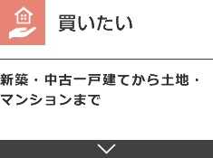 買いたい