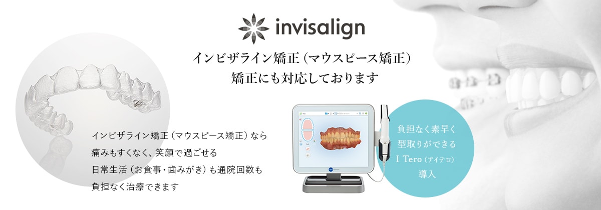 公式案内画像