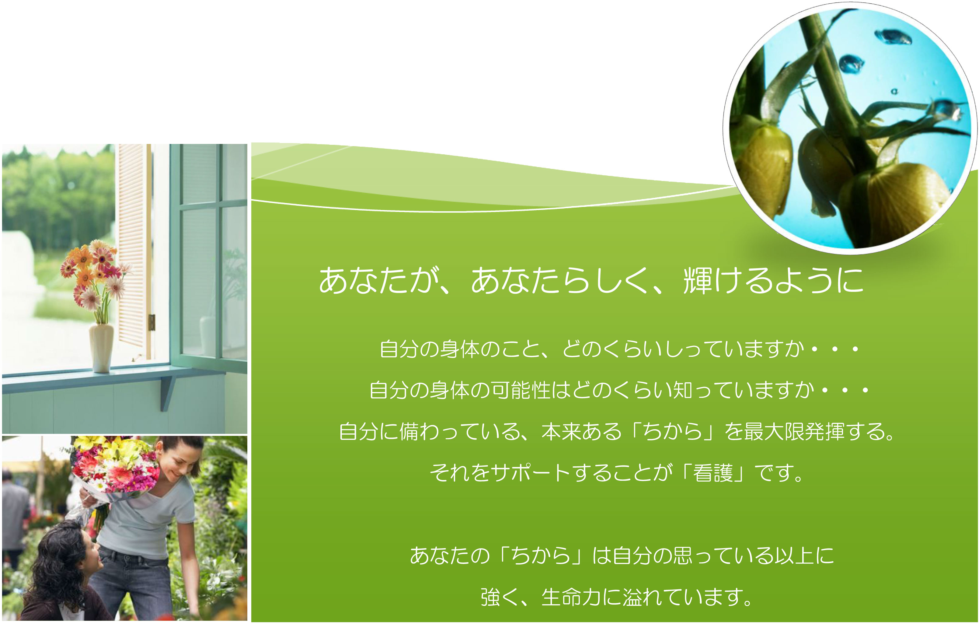公式案内画像