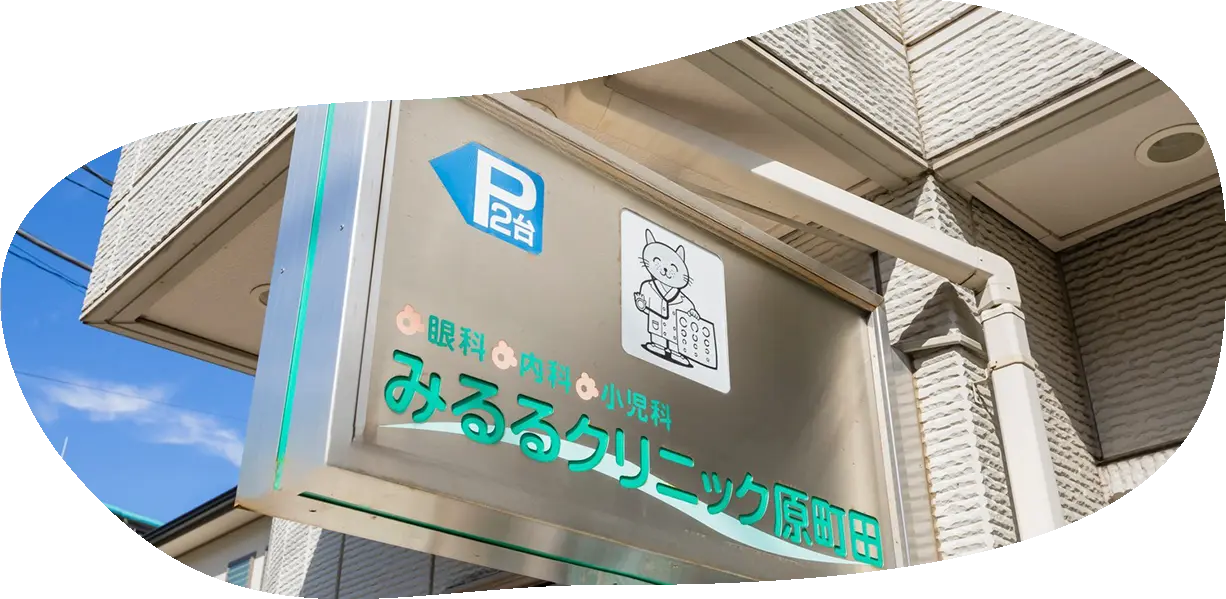 公式案内画像