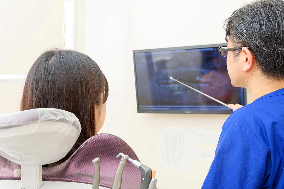 公式案内画像