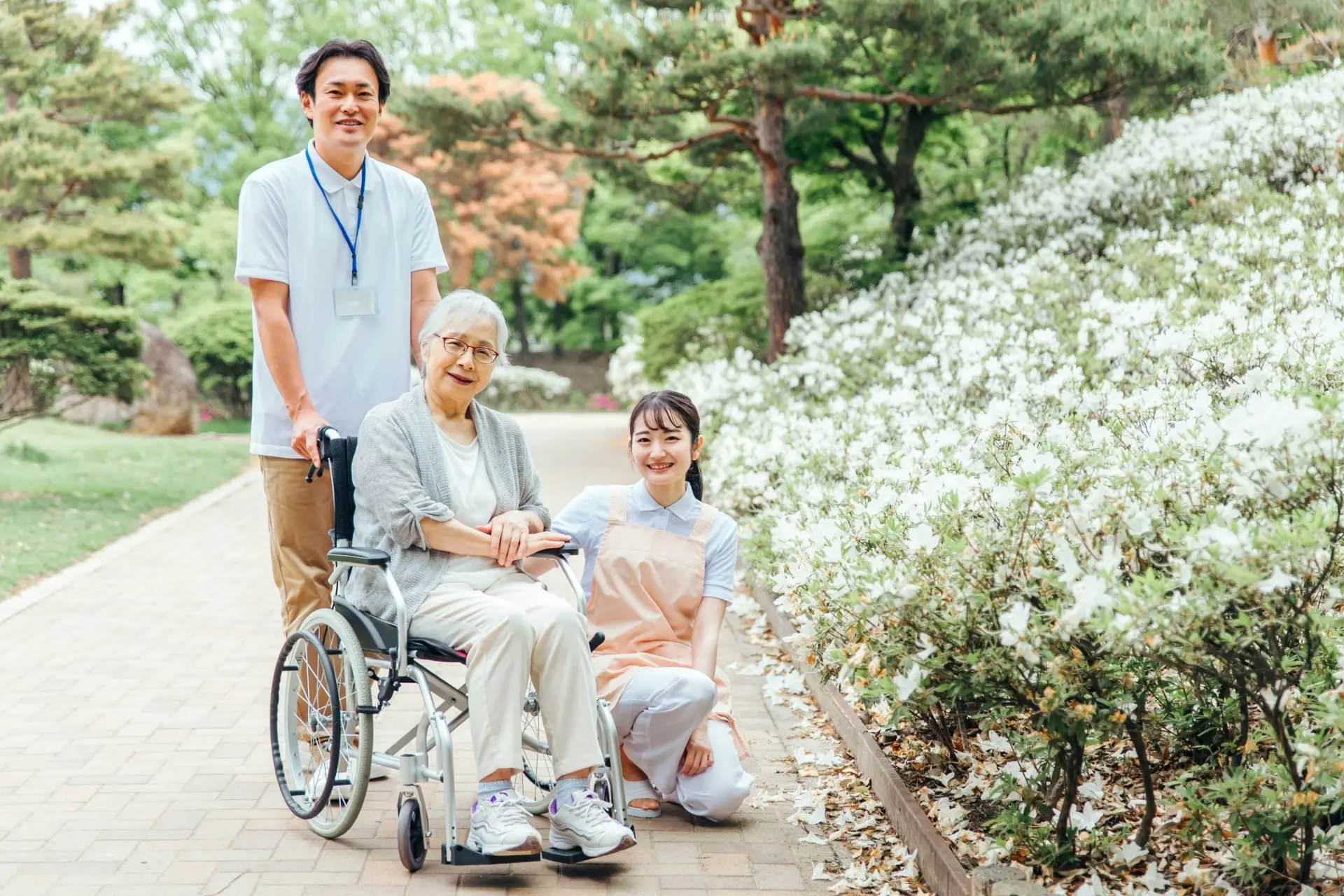 公式案内画像