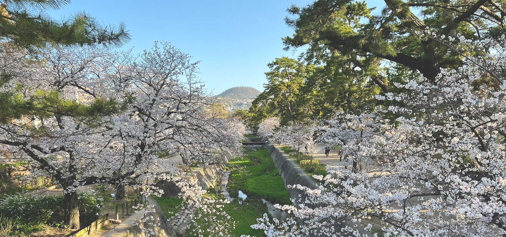 三浦歯科医院 の写真