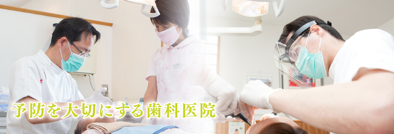公式案内画像