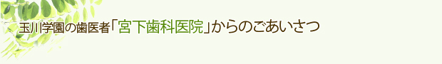 公式案内画像