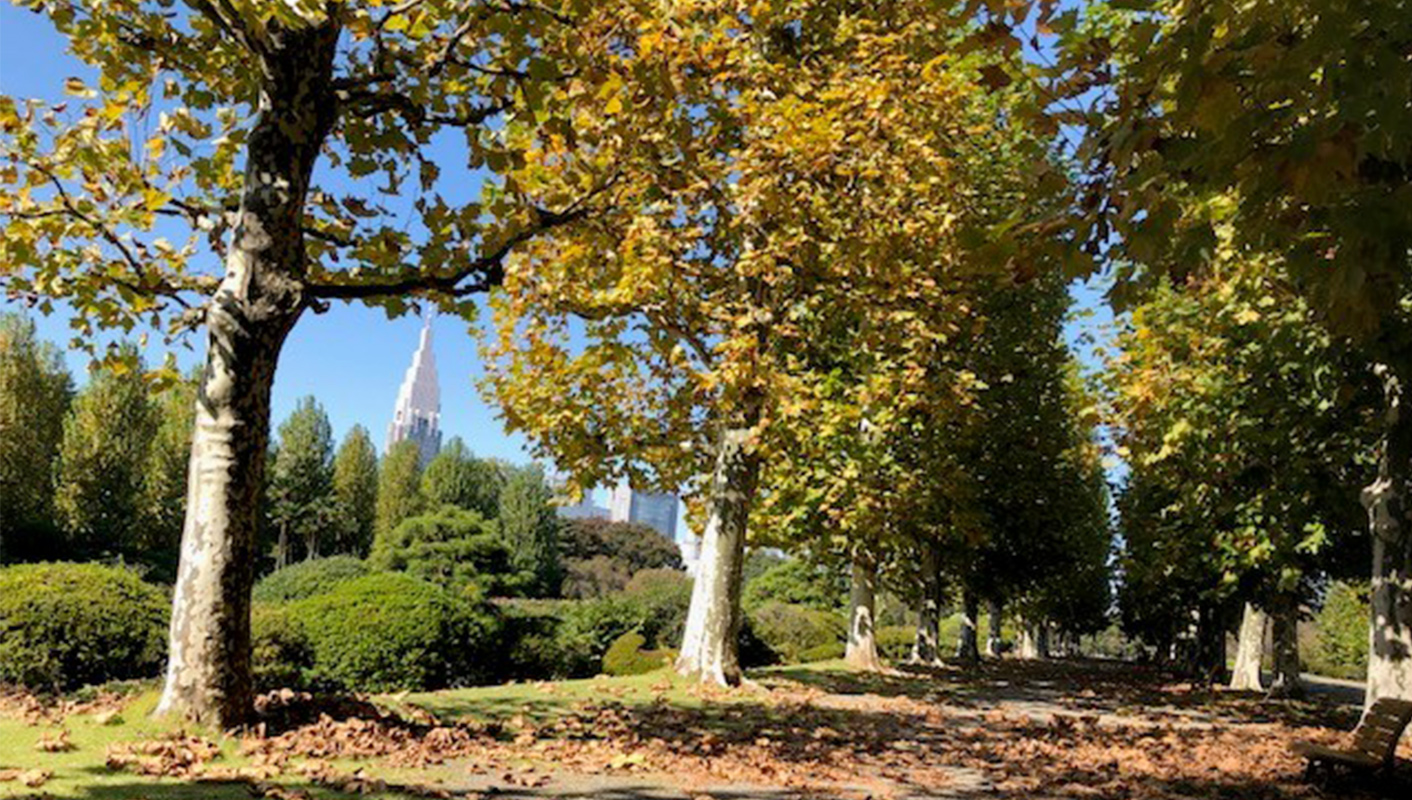 宮下矯正歯科医院 の写真