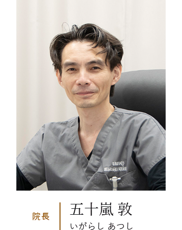 公式案内画像
