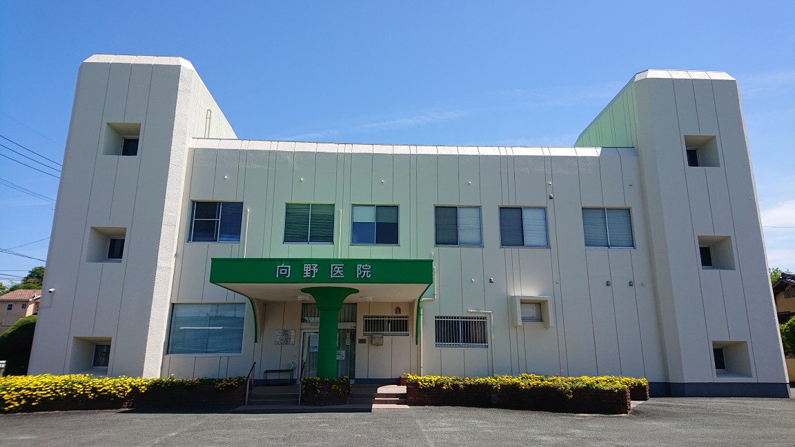 むかいの内科呼吸器内科 の写真