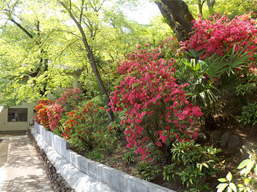 村山中央病院 の写真