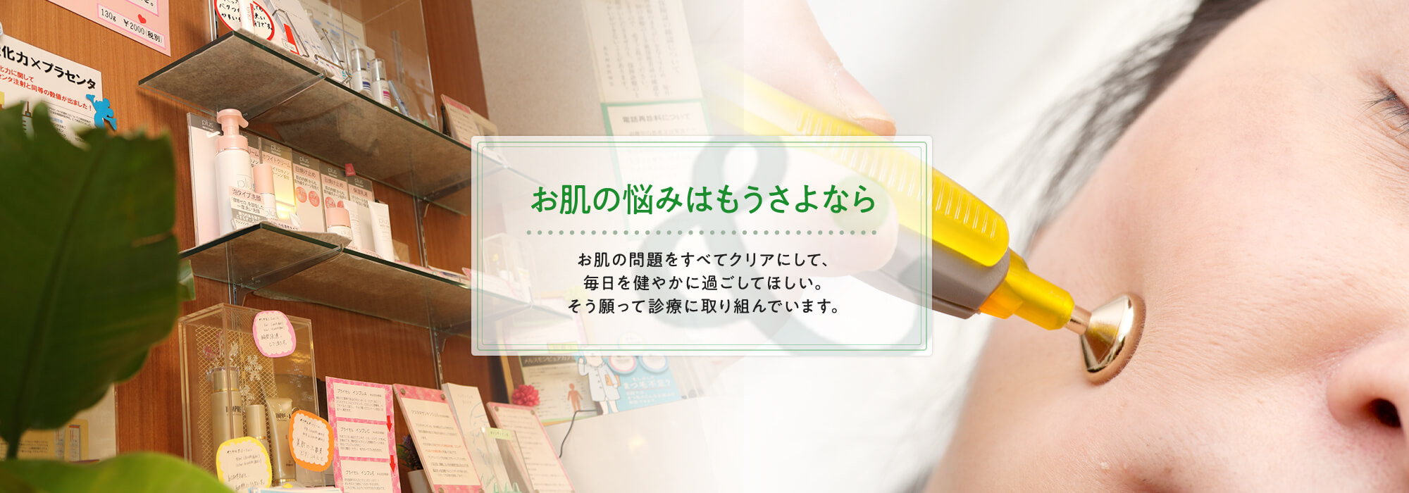 公式案内画像