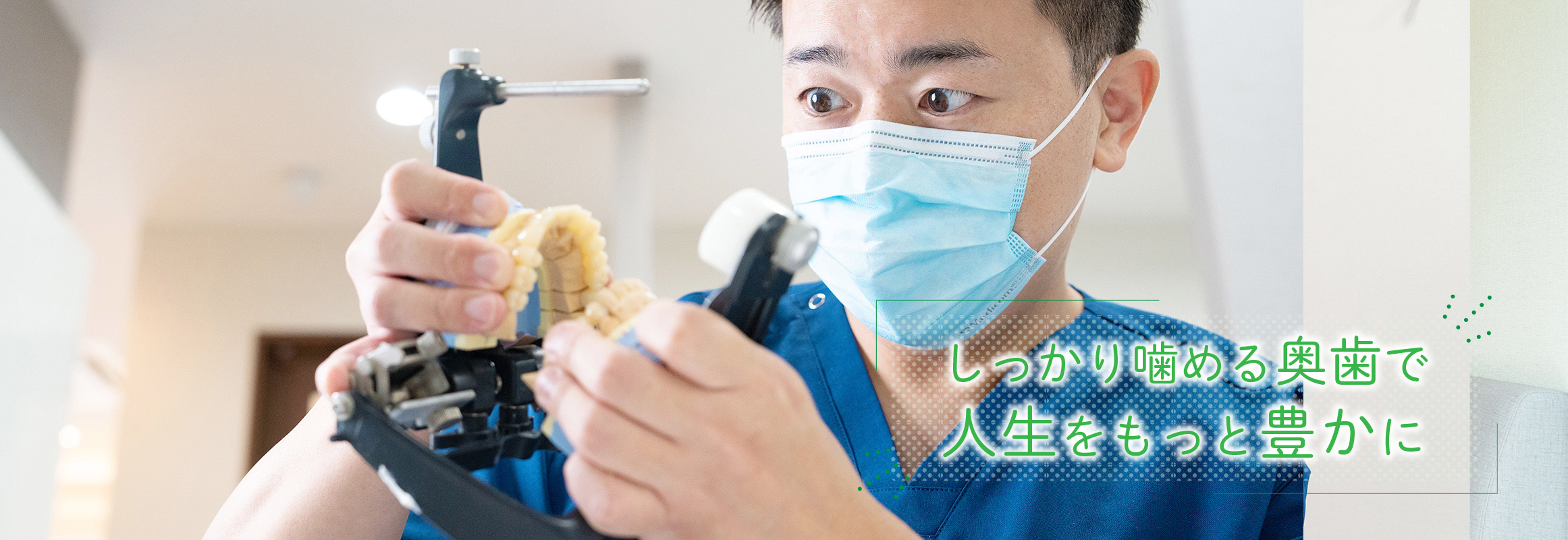公式案内画像