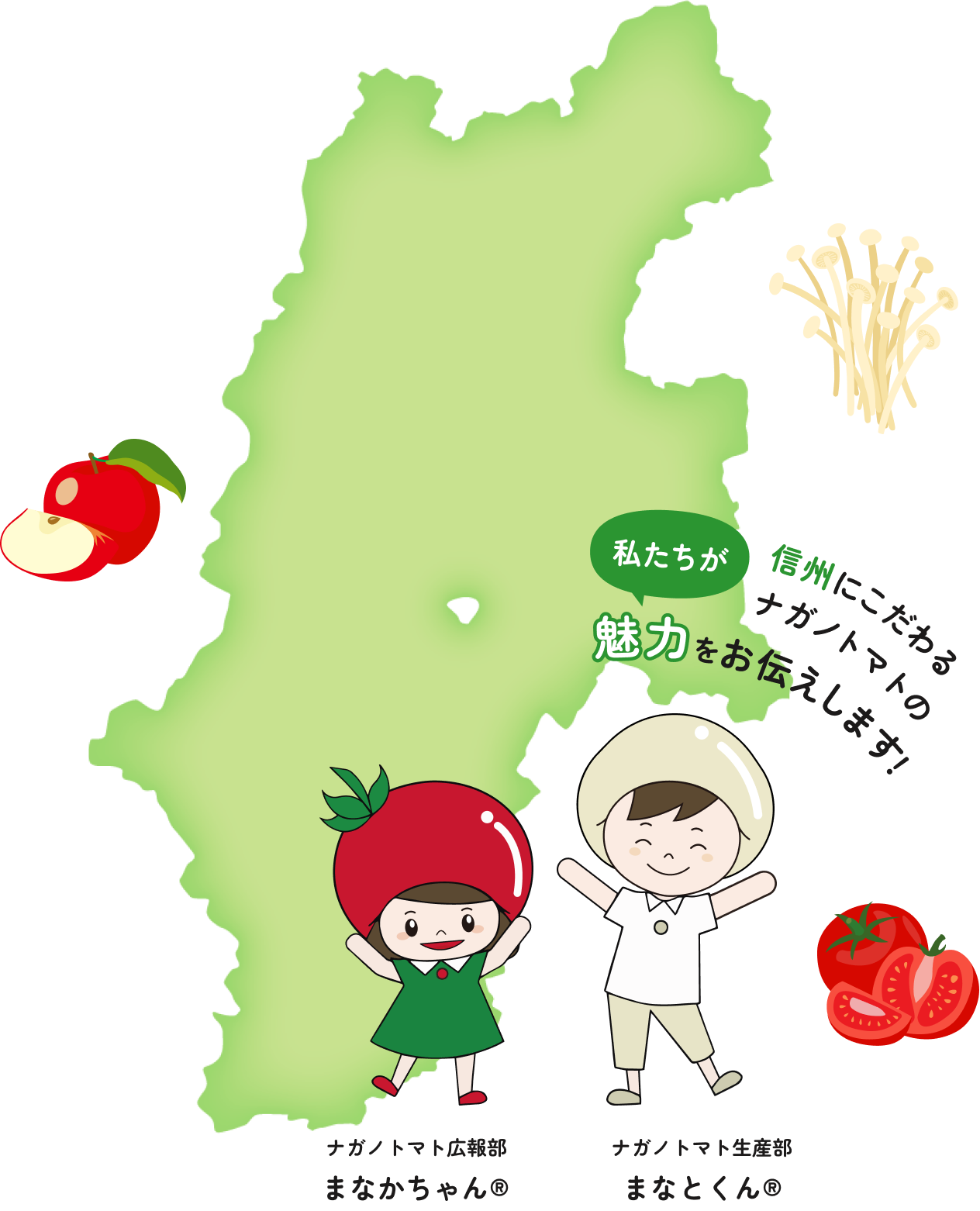 公式案内画像