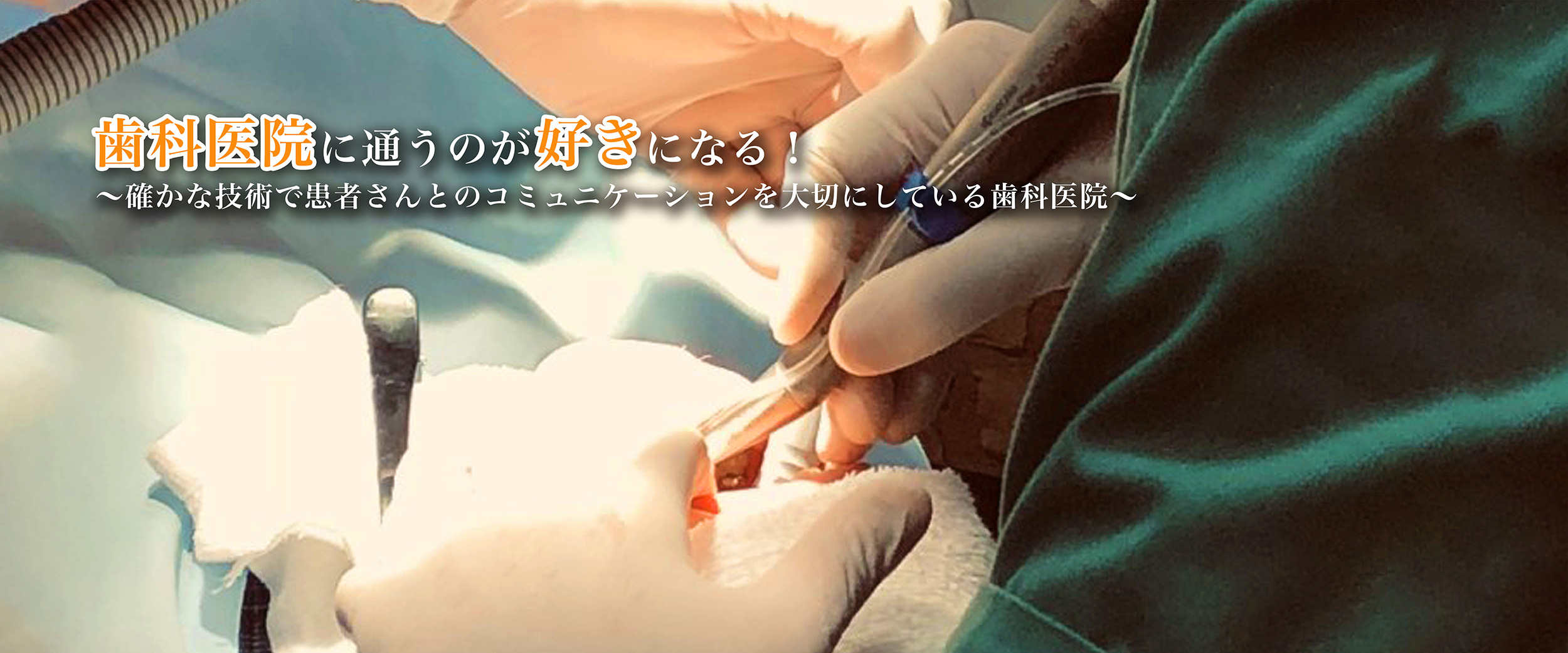 公式案内画像