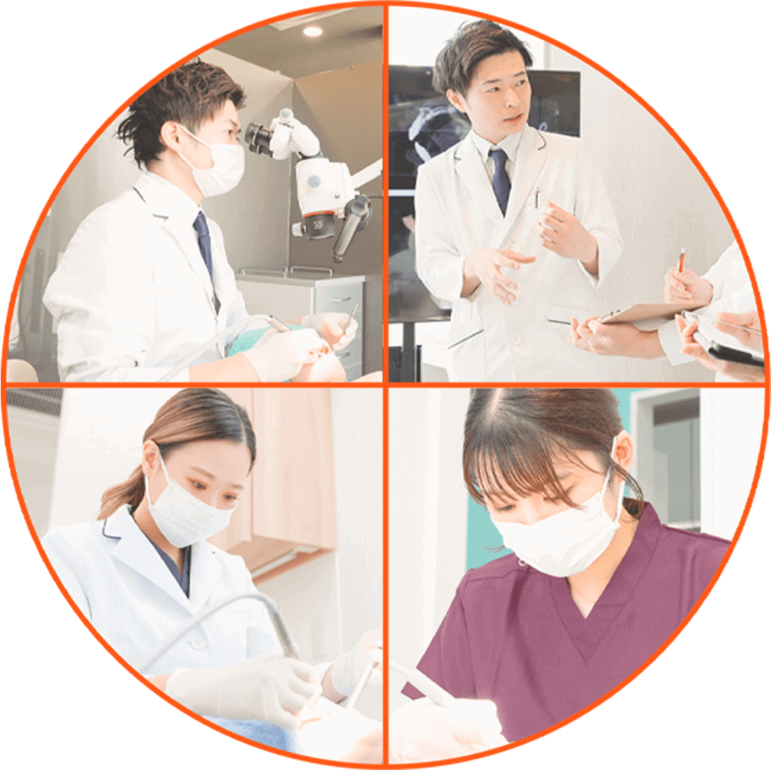 公式案内画像