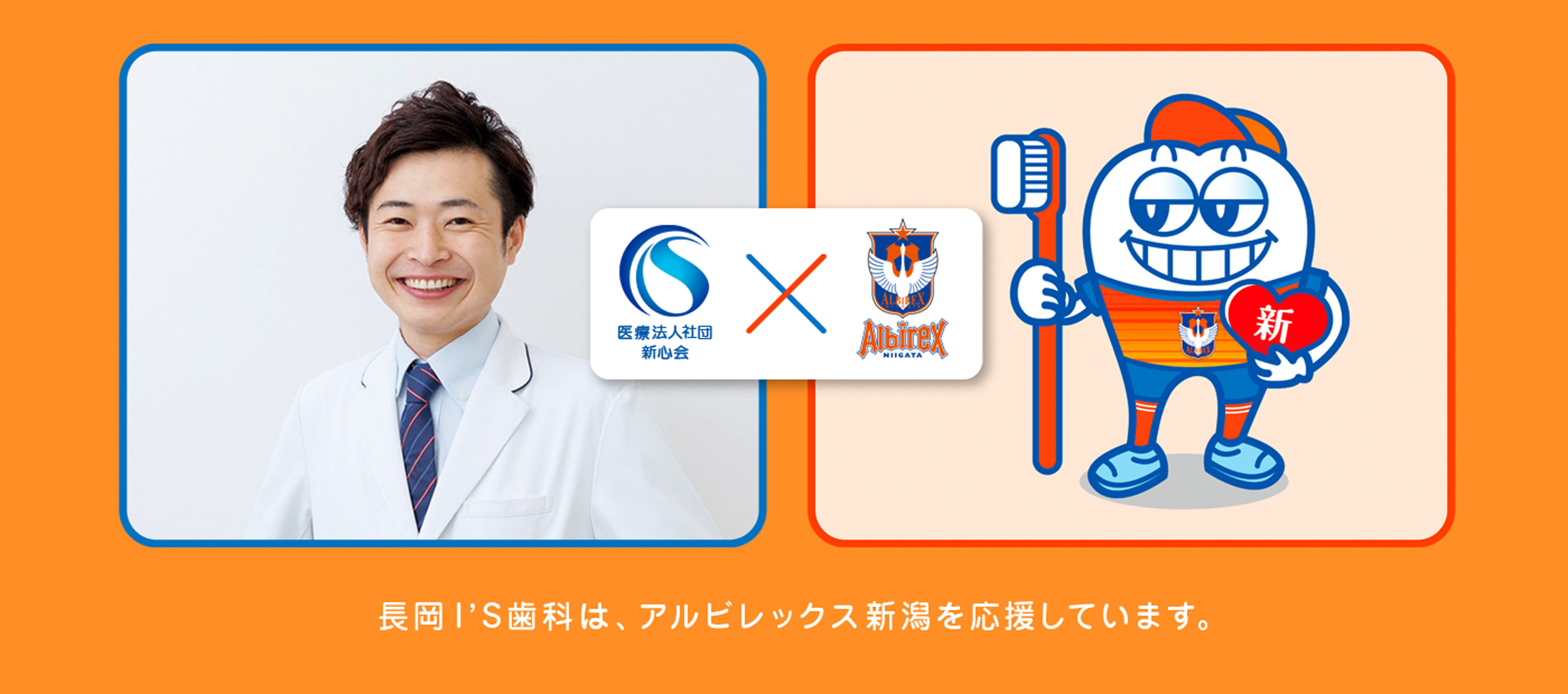 公式案内画像
