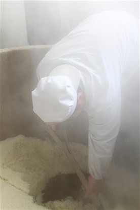 蒸気のなかで酒米を扱う小町酒造の蔵人