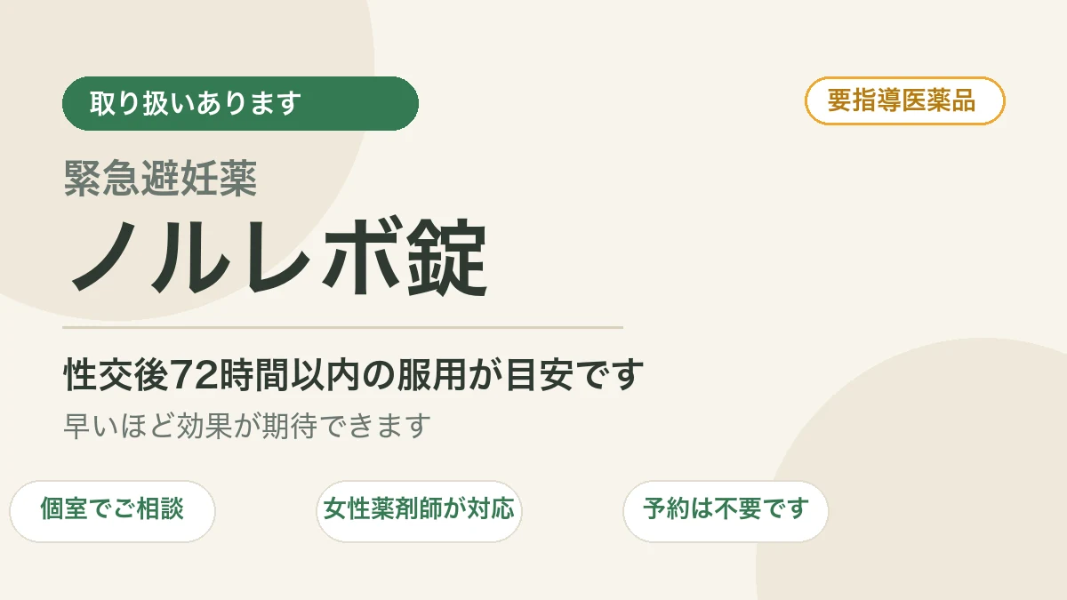 公式案内画像