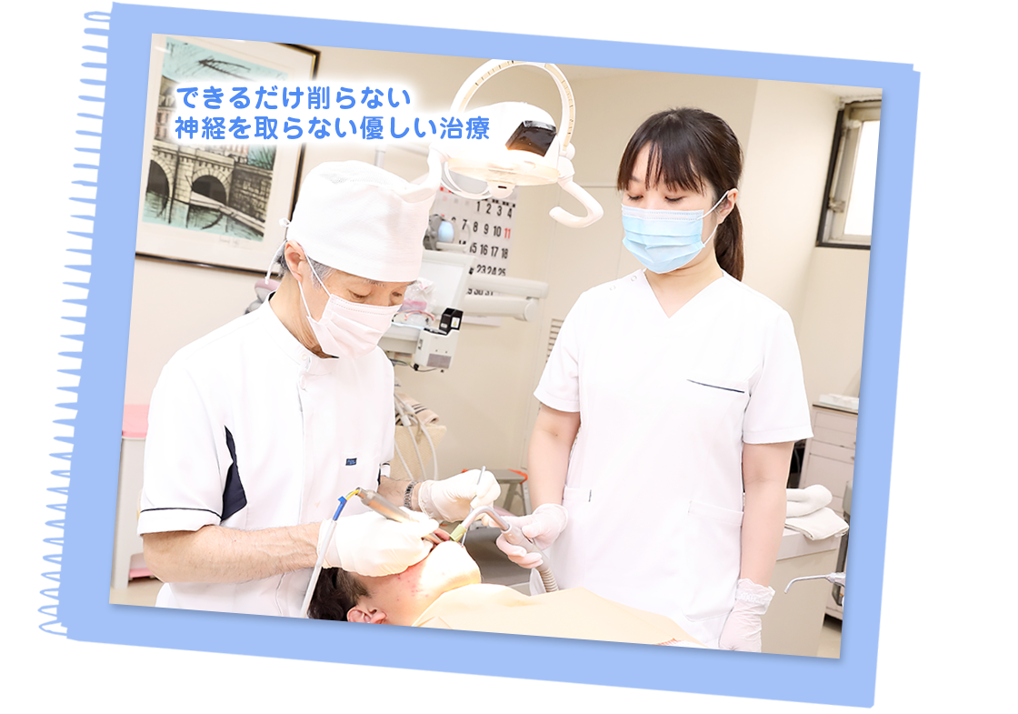 公式案内画像