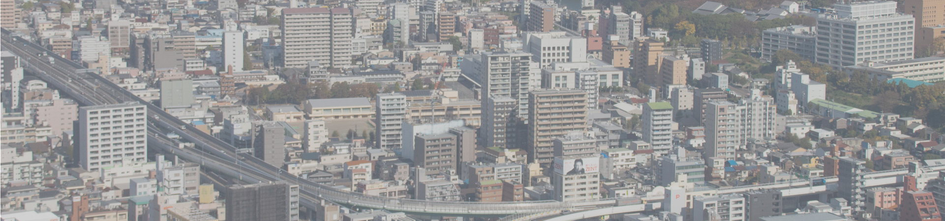 ナカミライズホールディングス株式会社 の写真