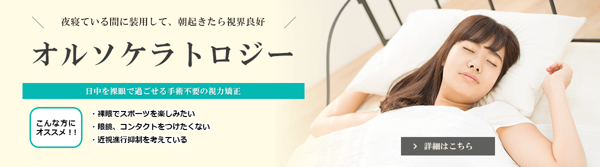 公式案内画像