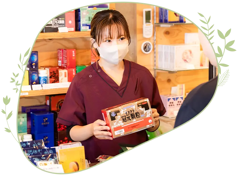 公式案内画像