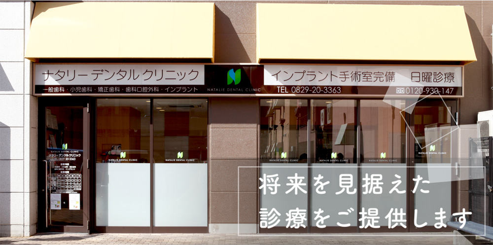 公式案内画像