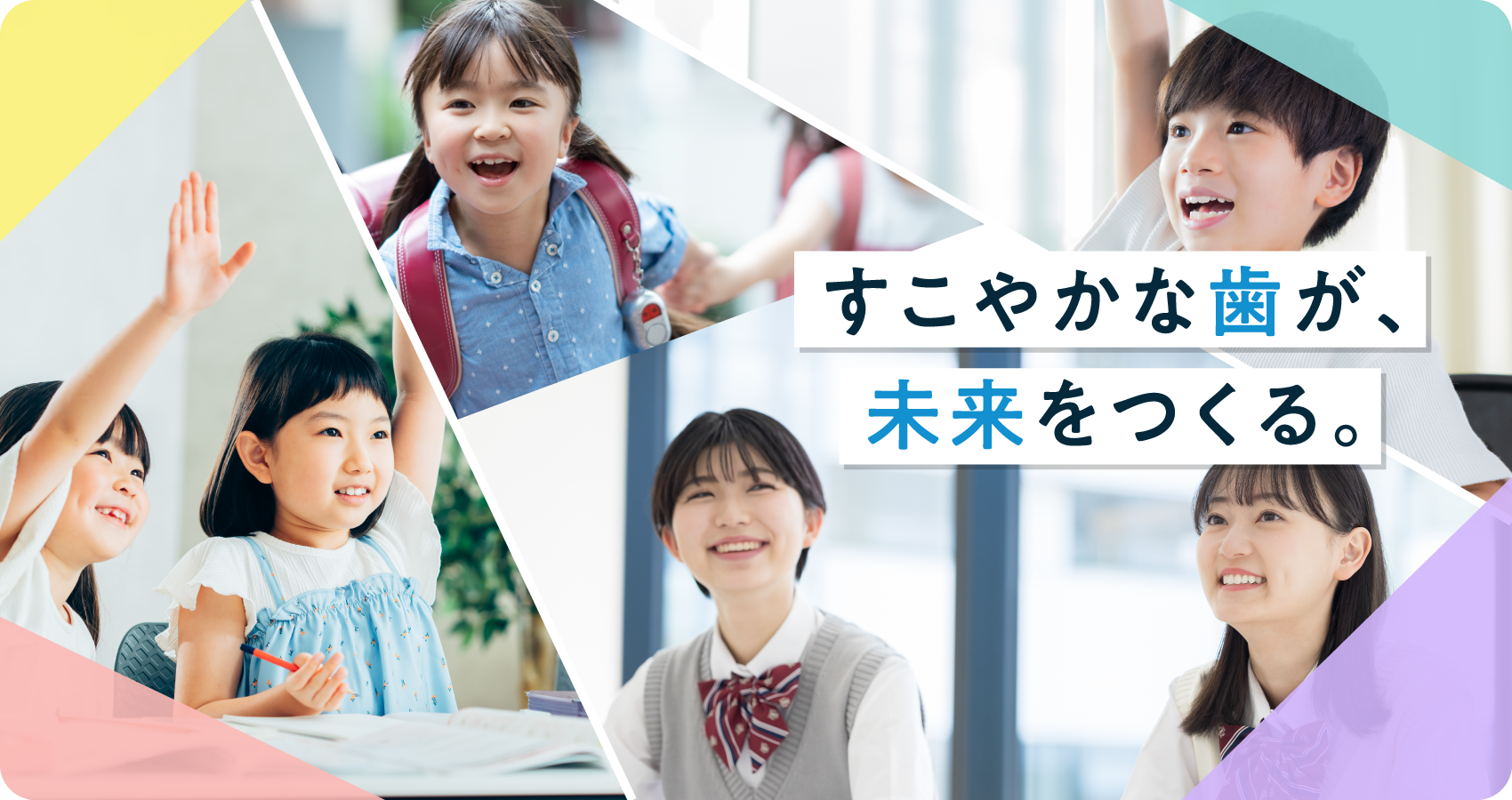 日本学校歯科医会 の写真