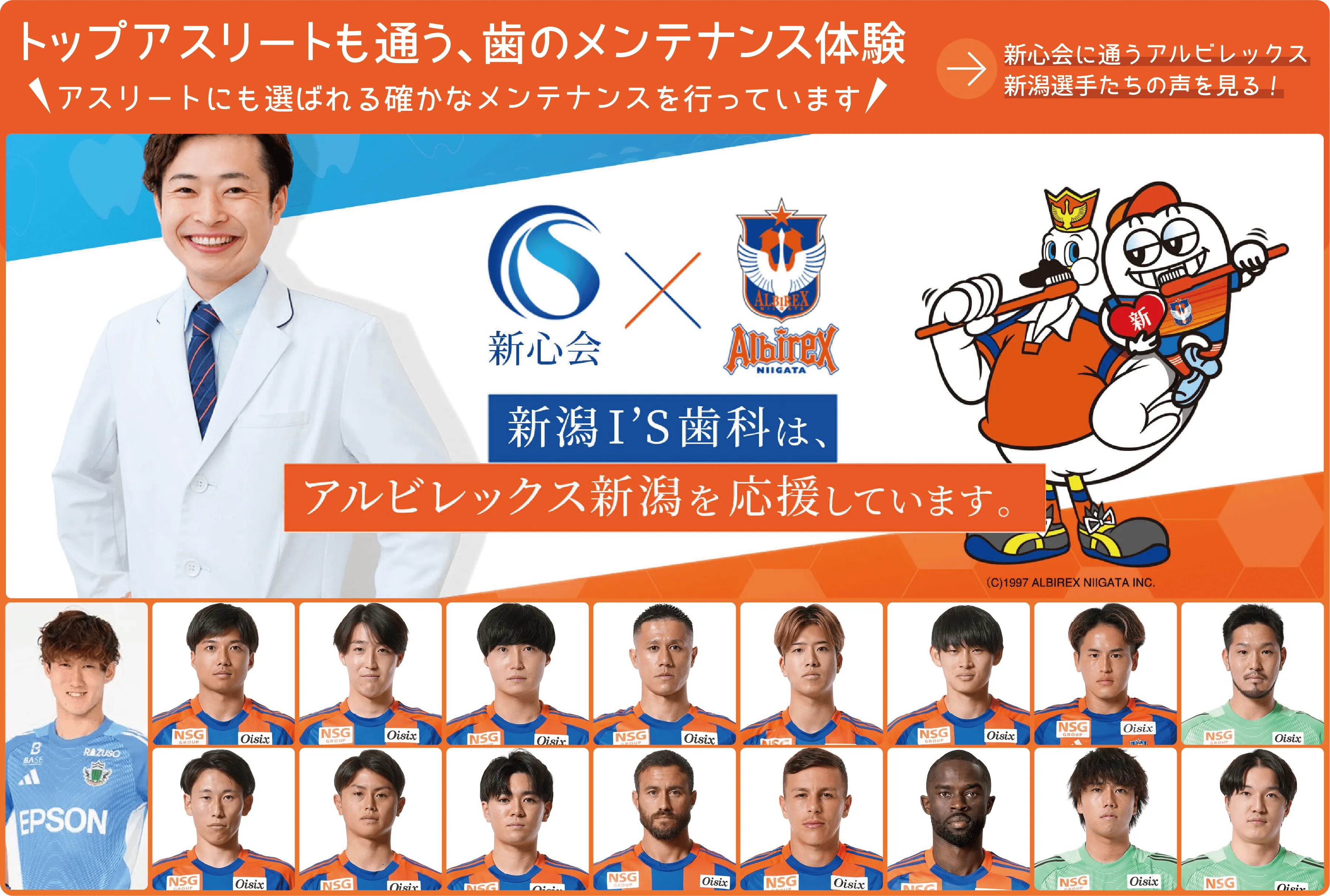 公式案内画像