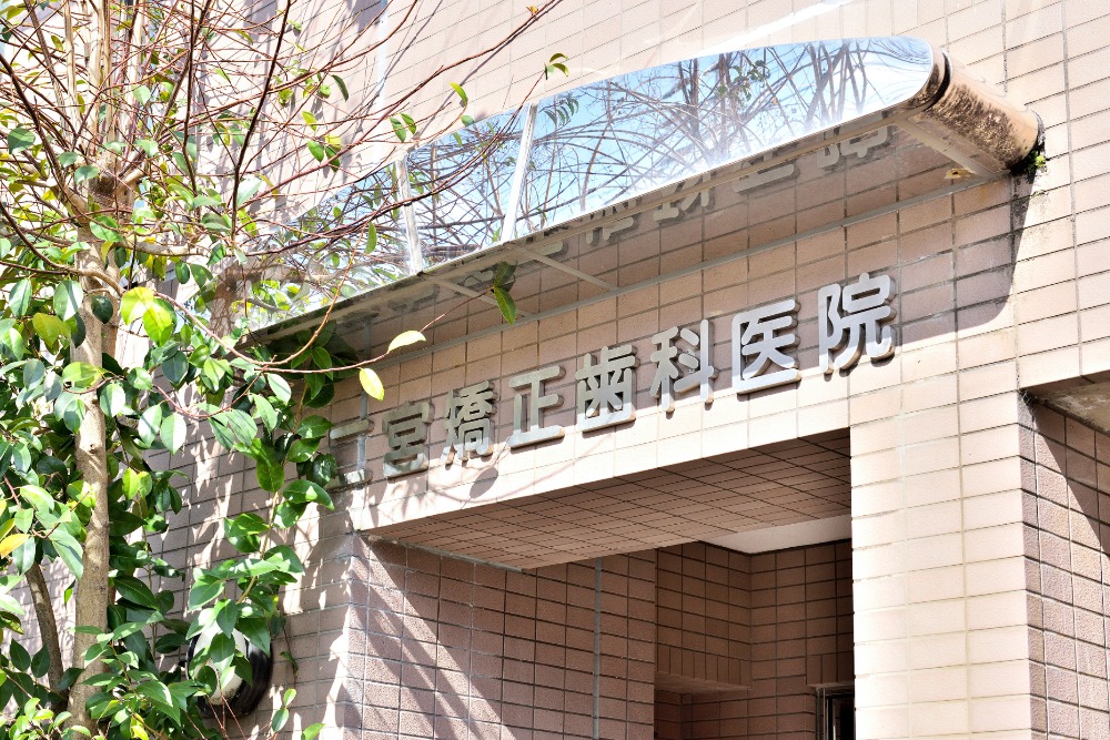 公式案内画像