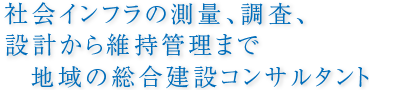 西谷技術コンサルタント株式会社 の写真