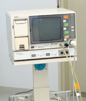公式案内画像
