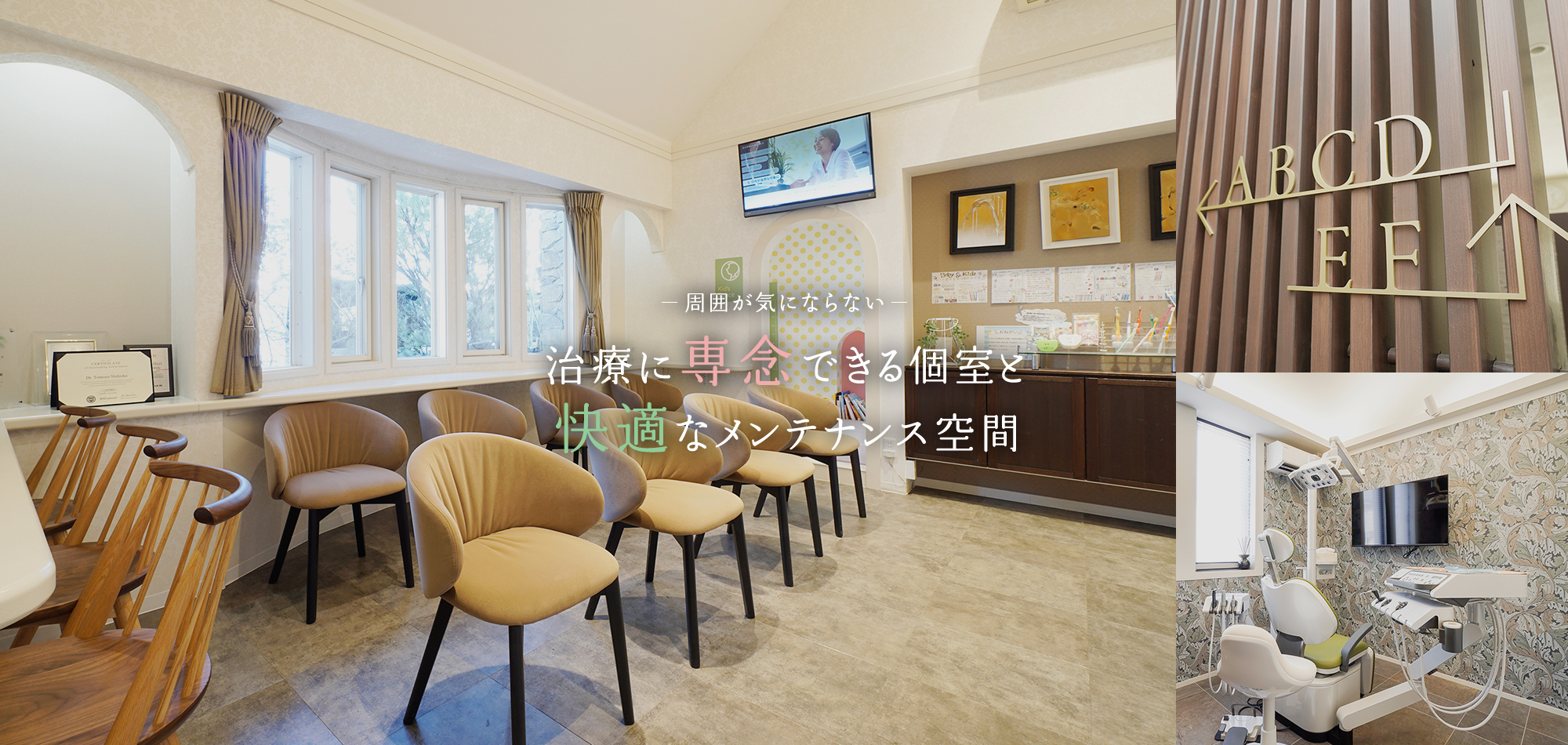 公式案内画像