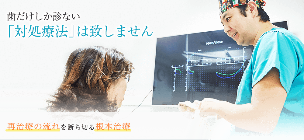公式案内画像