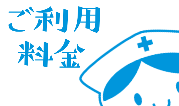 公式案内画像