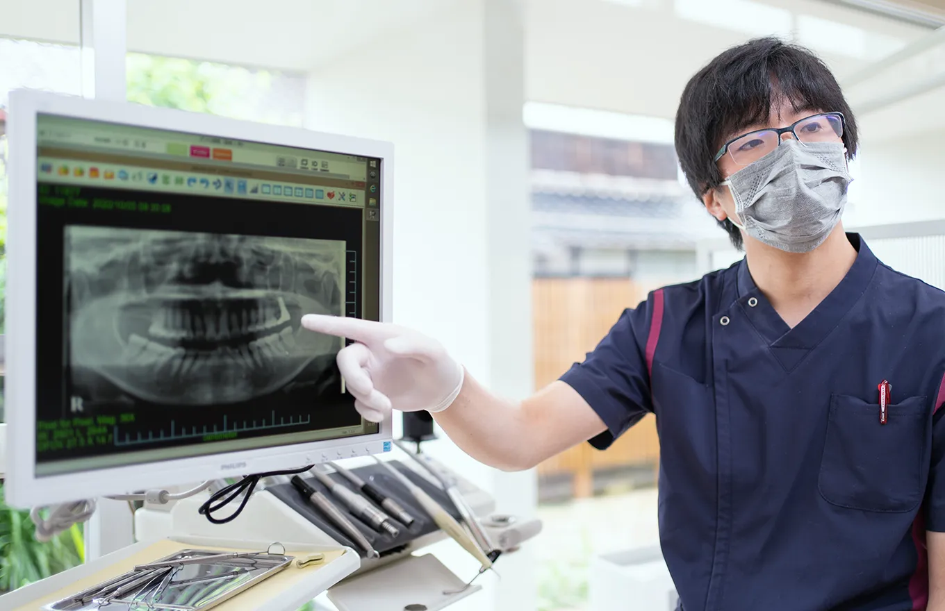 公式案内画像