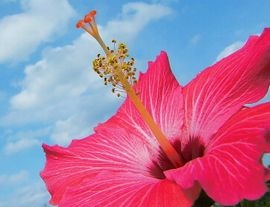 おだ歯科・小児歯科クリニック の写真