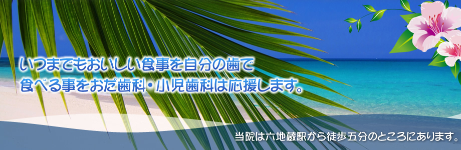 公式案内画像