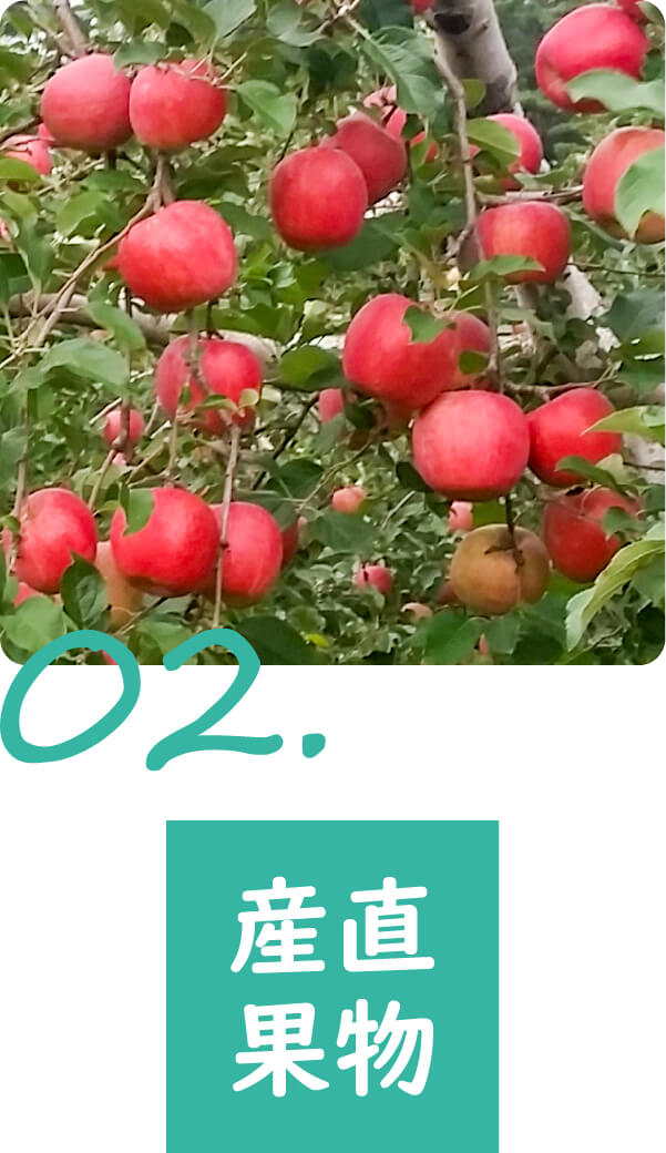 株式会社おどや の写真