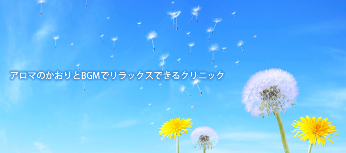 公式案内画像