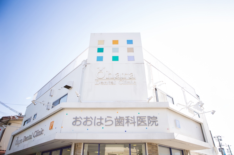 公式案内画像